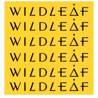 Wildleaf Drinks logo - Similar company to Skål