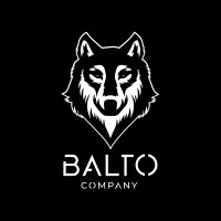 Balto Company logo - Similar company to Wanna