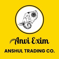Anvi Exim logo - Similar company to Akb It Solutions