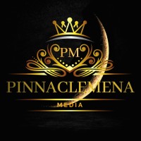 Pinnaclemena Media logo - Similar company to The Phd Help India