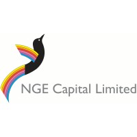 NGE Capital Limited logo - Similar company to Amalearnonline