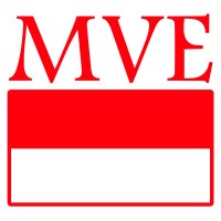 MVE logo - Similar company to Digiteam