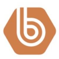 Beyond Business Consultants LLP logo - Similar company to Rishine Groups