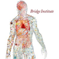 USC Bridge Institute logo - Similar company to Team Awareness Combating Overdose (Taco)