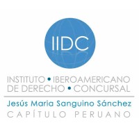 IIDC CAPÍTULO PERUANO logo - Similar company to Thenomia