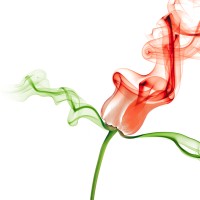 Aromasys Inc