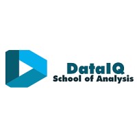 DataIQ School of Analysis logo - Similar company to Finkore