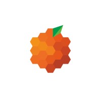 Orange Group Mexico logo - Similar company to Ichi Services