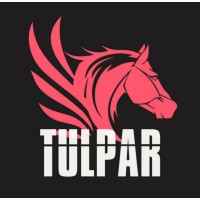 Tulpar Robotics logo - Similar company to Kapsül Giro