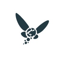 Navi Market logo - Similar company to Inoxlab & Co