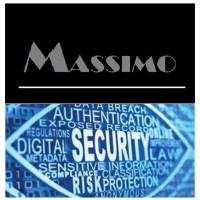 Massimo BSR Consulting logo - Similar company to Artificial Twin