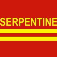 Serpentine Running and Triathlon Club logo - Similar company to Norte Partners