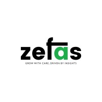 ZEFAS BI & ANALYTICS logo - Similar company to Datacrunch Ltd