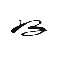 Boomerang® logo - Similar company to Klick-N-Go Golf Bv
