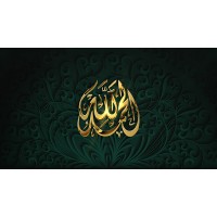 Boudebah Pierre  Abd-illah logo - Similar company to Psyralliance Sasu