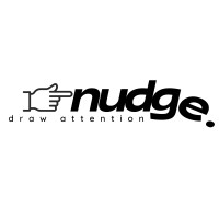 Nudge Advisors logo - Similar company to Pluto