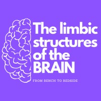 Summer school The Limbic Structures of the brain from bench to bedside logo - Similar company to Neurocamp