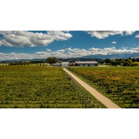 Matahiwi Estate logo - Similar company to The Darling Wines