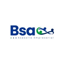 BUSINESS SOLUTION AND ADVISING SAC logo - Similar company to Copycom Perú