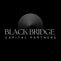 Black Bridge Capital Partners, LLC logo - Similar company to Black Bridge Partners