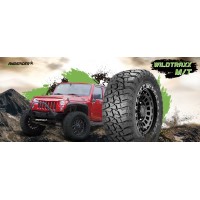 QINGDAO LANDSPIDER TIRE CO.,LTD logo - Similar company to Excom Woudenberg