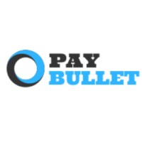 Pay Bullet logo - Similar company to Digital Future Web Solutions