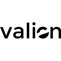 Valion logo - Similar company to Valione Digital Studio