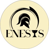 BDE Enesys logo - Similar company to Bds Ece Paris