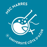 MSc MARRES - Université Côte d'Azur logo - Similar company to Blueseeds