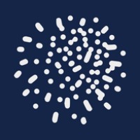 Scale in Tech logo - Similar company to Conbud