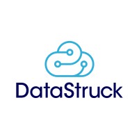 DataStruck logo - Similar company to Curbza Inc.
