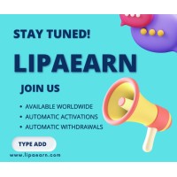 LipaEarn Agencies logo - Similar company to Besttech