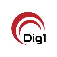 Dig1 logo - Similar company to Digital One