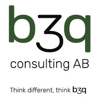 b3q consulting AB logo - Similar company to Bgd Group