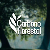 Carbono Florestal logo - Similar company to Forte Florestal