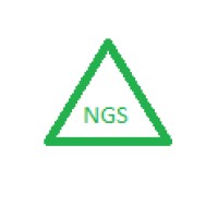 NGS Pvt. Ltd. logo - Similar company to Truly Tech Solutions