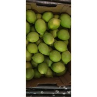 Desarrollo de líneas Organicas logo - Similar company to Prolimsur