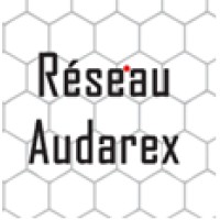 Audarex logo - Similar company to B-Side Partners