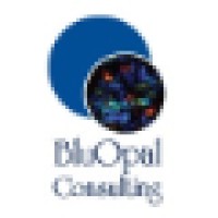Bluopal Consulting Llc