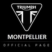 TRIUMPH MONTPELLIER logo - Similar company to Suttel Group
