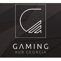 Gaming Hub Georgia logo - Similar company to Wibet Tanzania