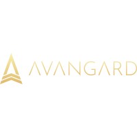 Avangard Gold logo - Similar company to Medihelp International
