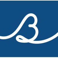 Bigwavv logo - Similar company to Crownlabs