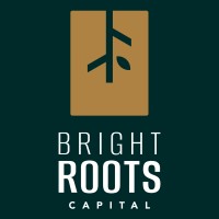 Bright Roots Capital logo - Similar company to Rtgroup
