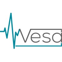 Vesa logo - Similar company to Ntgr8R Inc.