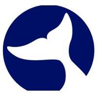 Whale Microelectronics Co., Ltd. logo - Similar company to Orca Semiconductor
