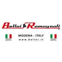 Belloi & Romagnoli logo - Similar company to Potent S.A.S. Di Vettorazzi Gian Luca & C.