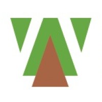 Web Forest logo - Similar company to Websaye India Ltd