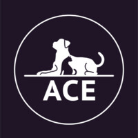 Acepnp logo - Similar company to Logicmines