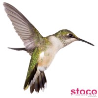 Stoco SA logo - Similar company to Fullmo Gmbh